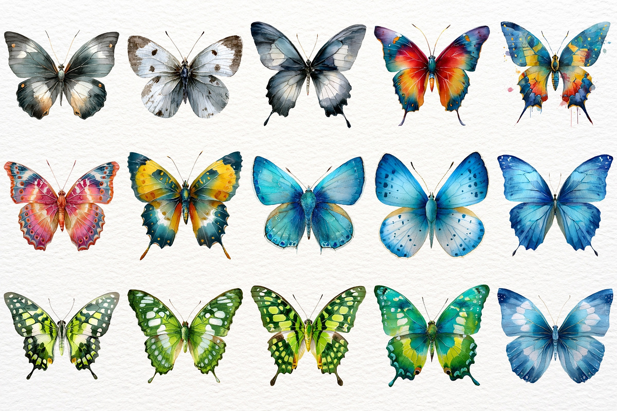 Floral Butterfly Clipart Summer PNG, an Animal Illustration by SugarCloudStudioArt (Photo 5 of 8)