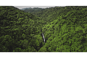Hidden waterfall flowing through, an Animal Photo by Goinyk