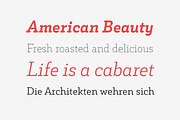 Decour Soft, a Slab Serif Font by Latinotype (Thumbnail 2 of 11)