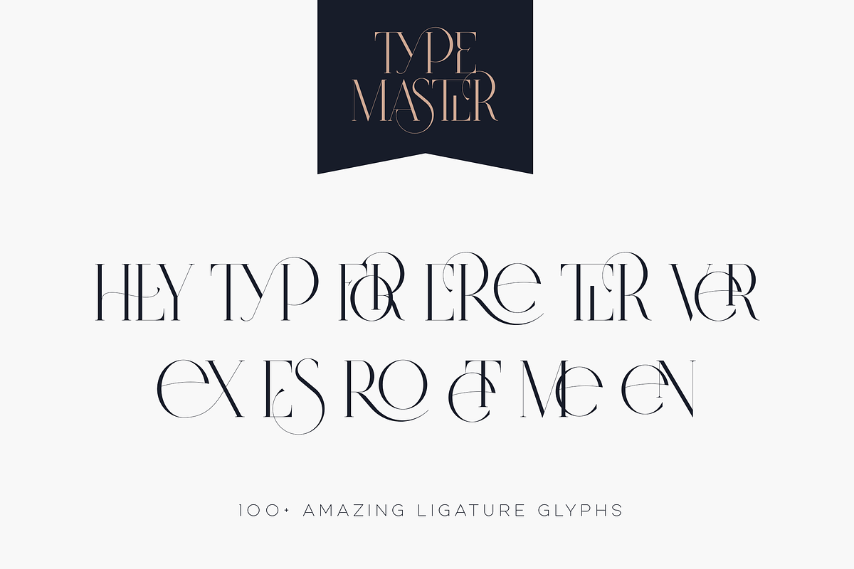 SALE! Type Master - serif font, a Serif Font by VP Fonts (Photo 12 of 24)