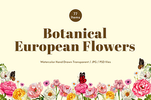 Botanical European Flower Watercolor, an Object Illustration by CreativeValuation