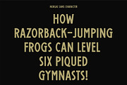 Norlac Sans, a Sans Serif Font by Dawaii Goods (Thumbnail 3 of 7)