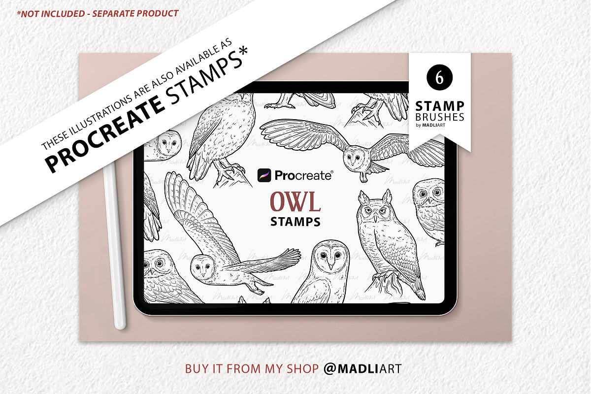 Owl Vector Line Art Set, an Illustration by MadliArt (Photo 4 of 4)