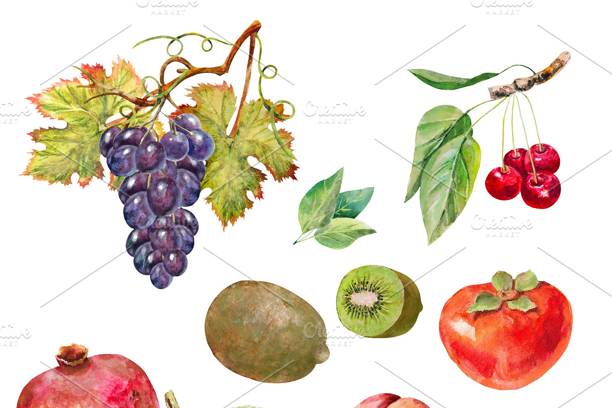 Fruits collection, watercolor set, a Food Illustration by AkvarelRiver (Photo 4 of 6)