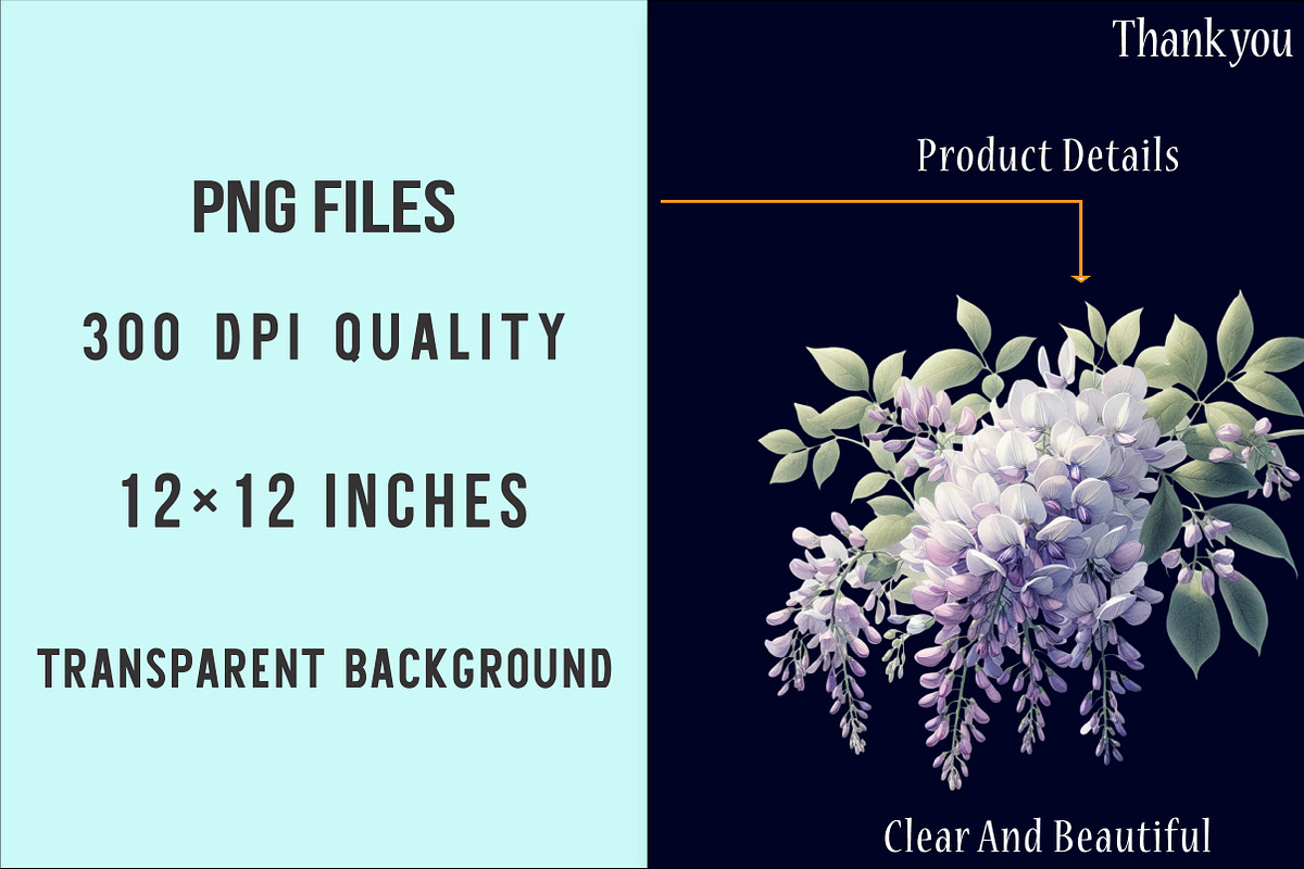 Wisteria Floral Garden Clipart PNG, an Illustration by SinaCreation (Photo 6 of 7)