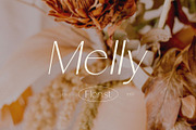 Quackey - Stylish Typeface, a Sans Serif Font by Craft Supply Co. (Thumbnail 8 of 8)