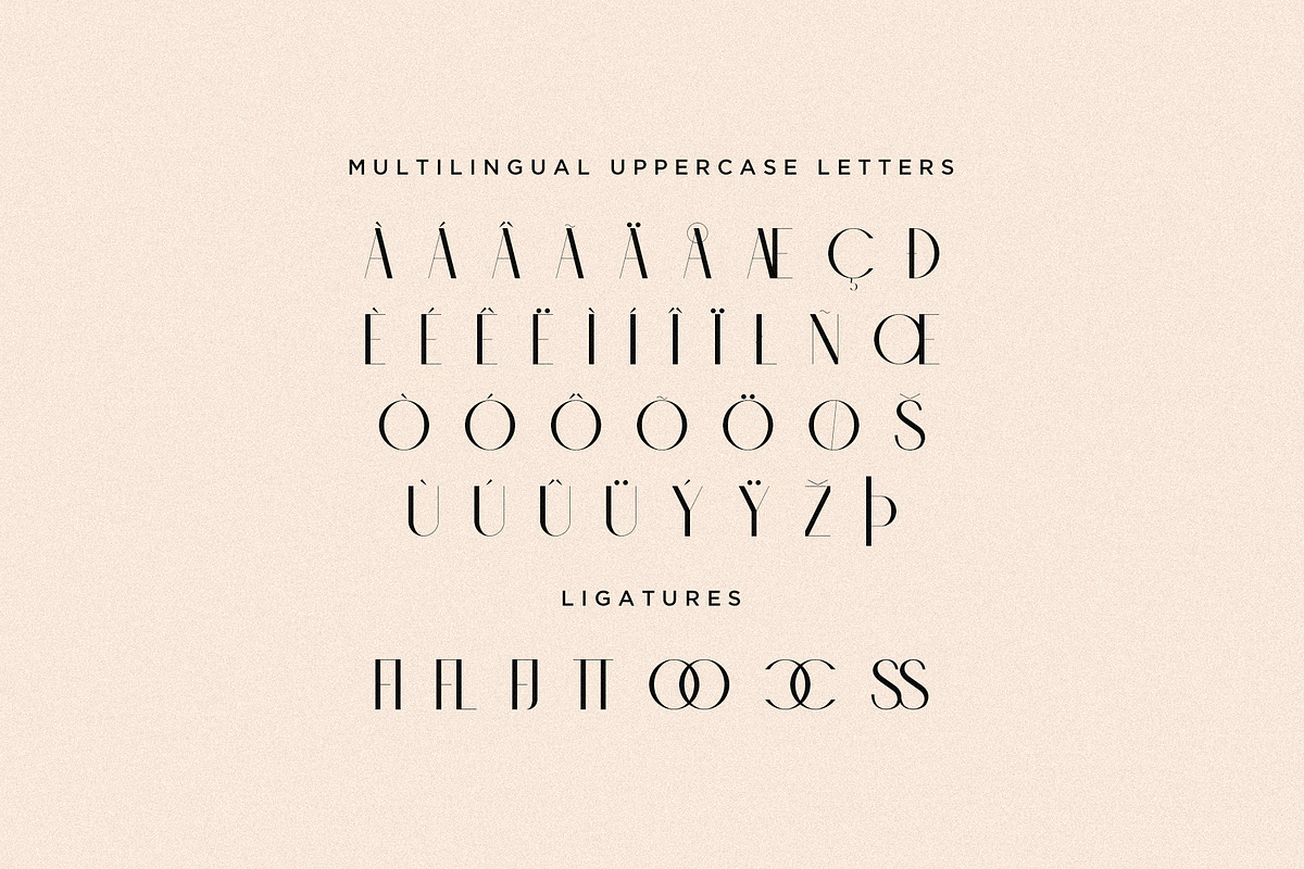 Chic - Elegant & Modern Sans Serif, a Sans Serif Font by Mikhail Fukurou (Photo 11 of 13)