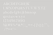 The Chic & Unique Modern Font Bundle, a Sans Serif Font by Tropical Type (Thumbnail 40 of 40)