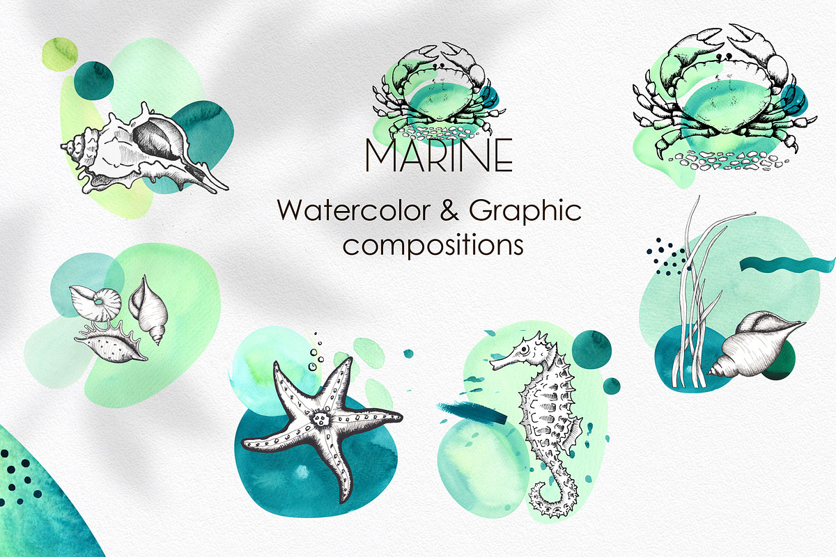 Marine Line & Abstract Art, an Object Graphic by Ana-Sakuta (Photo 2 of 15)