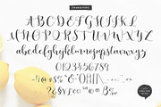 Lemons Mangos Sunshine, a Handwritten Font by Emily Spadoni (Thumbnail 9 of 10)
