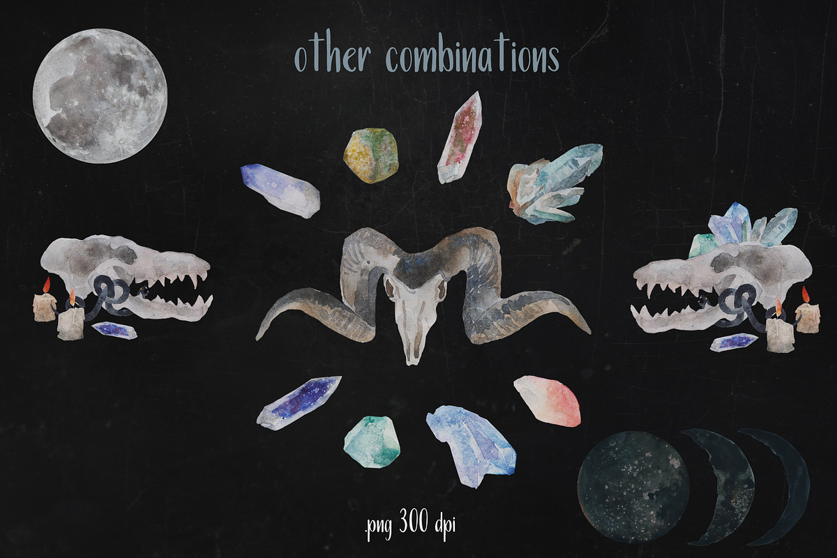 Watercolor Set | WITCHCRAFT, an Animal Illustration by Elisa Ursa (Photo 9 of 10)