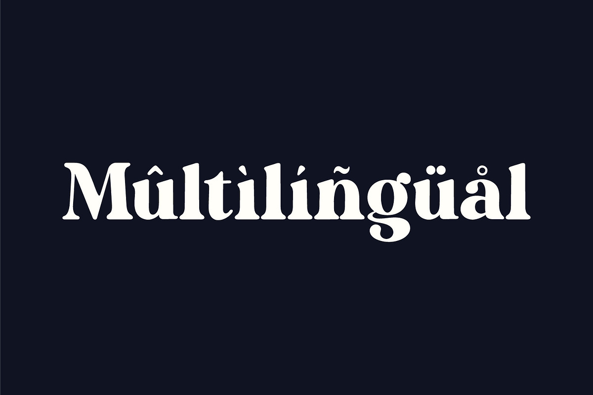 Magide – Bold Serif Font, a Serif Font by Issam Type (Photo 12 of 13)
