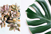 Instagram Styled Stock Square Photos, a Social Media Template by LaPorte Images (Thumbnail 2 of 19)