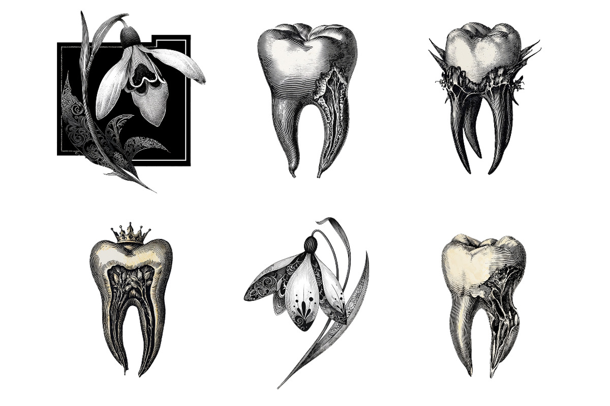 Dark Vintage Tooth Clipart Bundle, a Healthcare Illustration by InkyQueenArt (Photo 4 of 5)