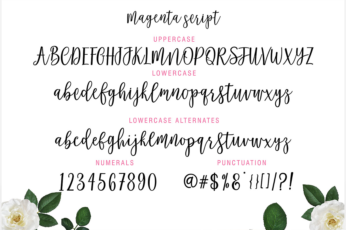 Magenta Script preview 8