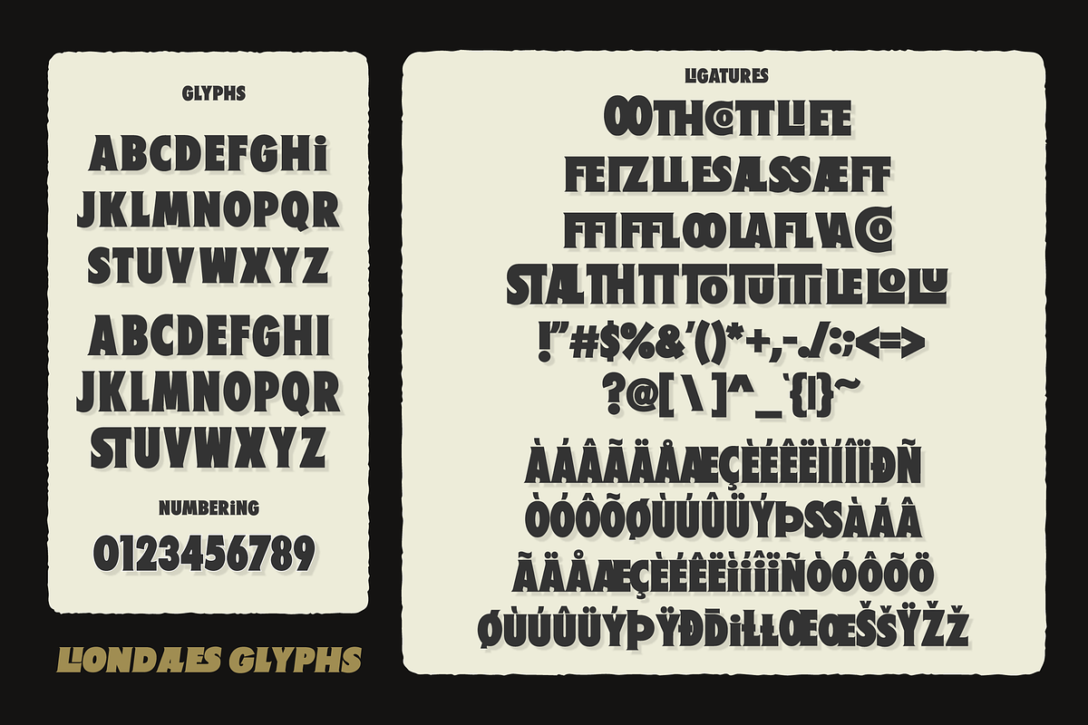 Fd Liondales + Extra, a Sans Serif Font by Fortunes Co (Photo 3 of 11)