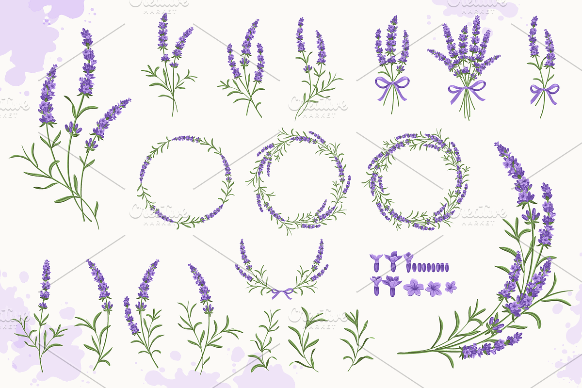 Lavender Set, a Decorative Illustration by Imaginasty (Photo 3 of 5)