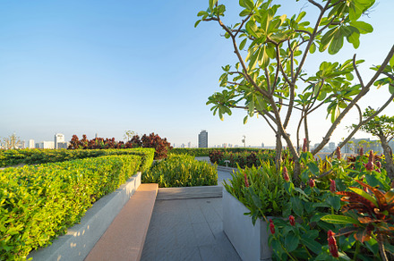Sky garden on private rooftop of condominium or hotel, high rise, a Background Photo by Tampatra