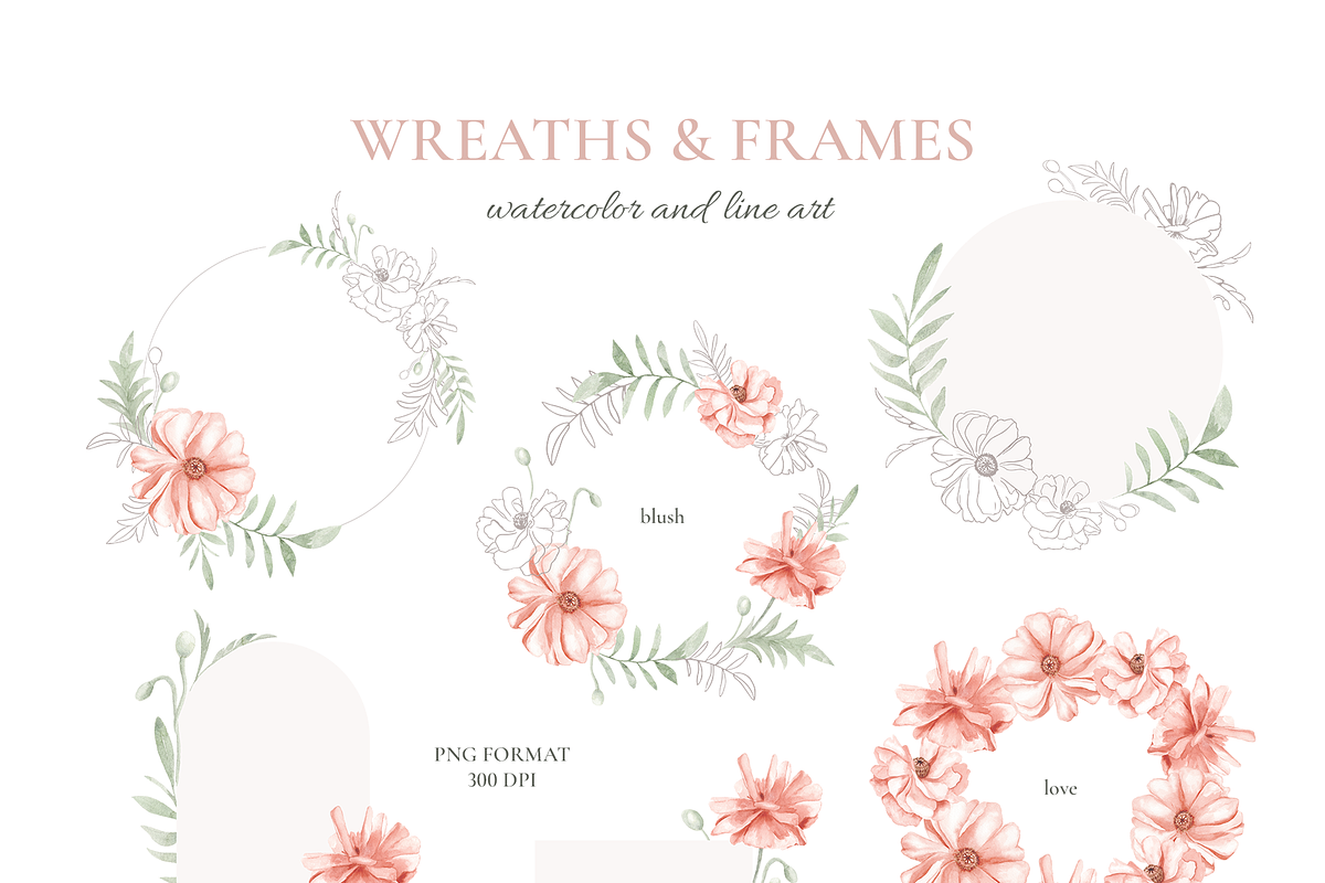 Poppy Blooms – Watercolor & Line Art, a Decorative Illustration by Liliia Polos Illustration (Photo 4 of 11)