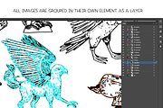 Mythological creatures - vector, an Animal Illustration by Renée from Studio neetje (Thumbnail 3 of 5)