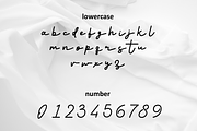 Sinteniku, a Script Font by almazstudio (Thumbnail 9 of 10)