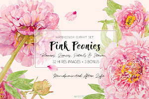 Pink Peonies-Clipart Set