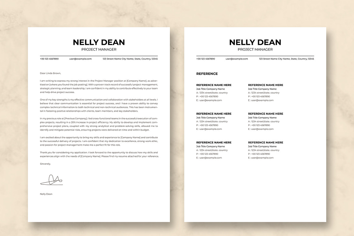 Project Manager Resume Template preview 4