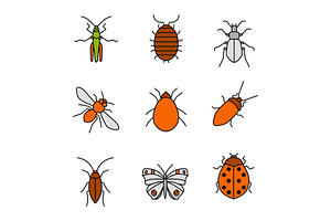 Insects Color Icons Set