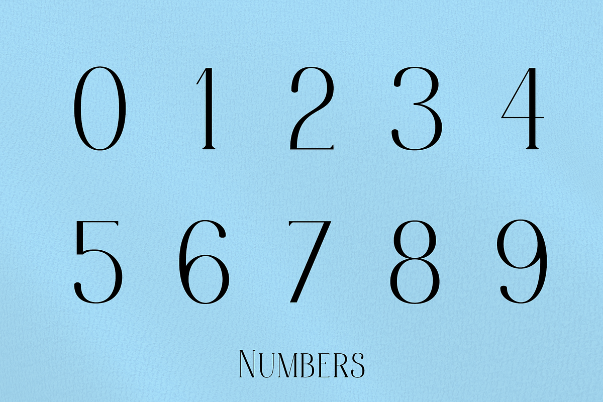 Bonheur Serif, a Serif Font by EW Type Foundry (Photo 5 of 10)