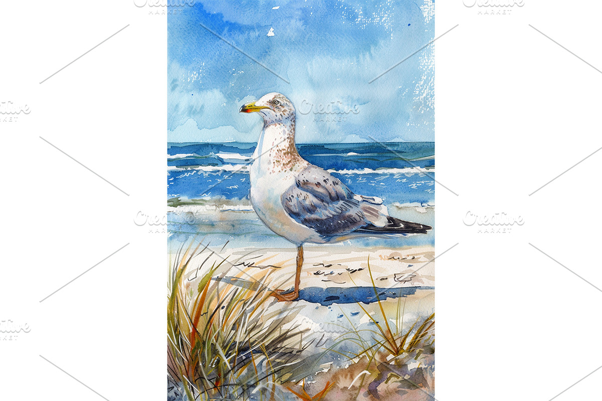 Watercolor of a Seagull on the Beach, an Animal Illustration by Art Paradise Studios