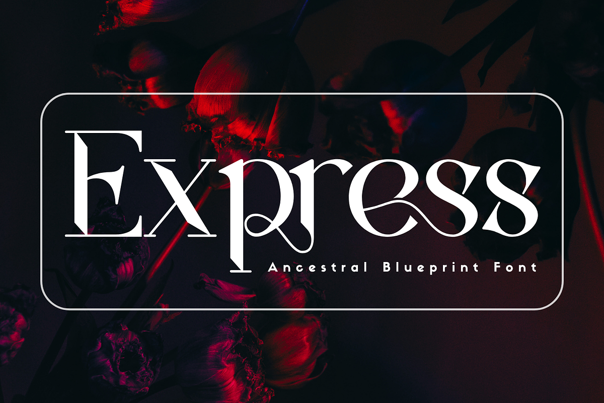 Ancestral Blueprint - Elegant Font, a Serif Font by 177Studio (Photo 2 of 8)