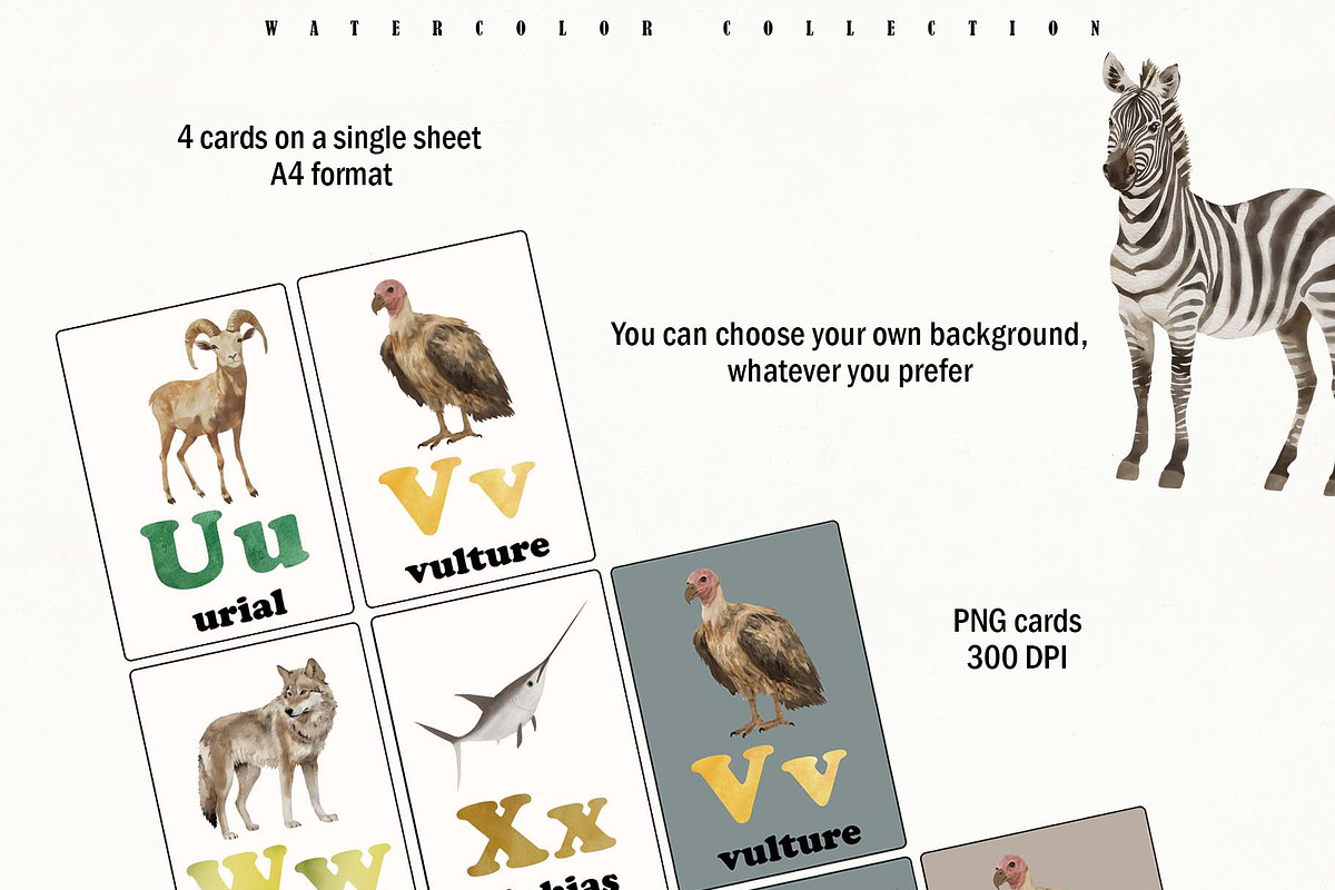 Animal Alphabet Flashcards, an Education Illustration by Sunshine Art (Photo 9 of 11)