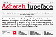 Asherah - Serif font family, a Serif Font by Artistic & Unique (Thumbnail 6 of 13)