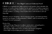 Chique - Luxury Modern Serif, a Serif Font by OWPictures (Thumbnail 5 of 7)