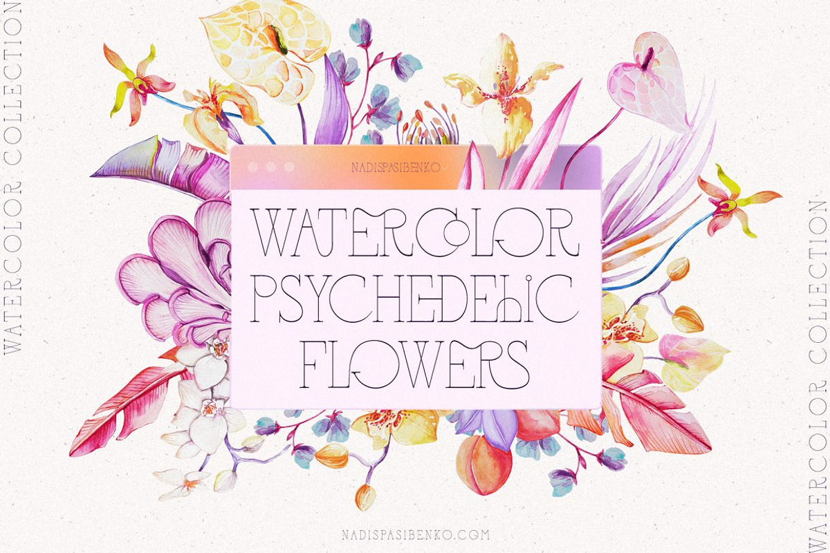 2000+ Collage & Graphic BUNDLE, an Object Graphic by nadispasibenko (Photo 10 of 23)