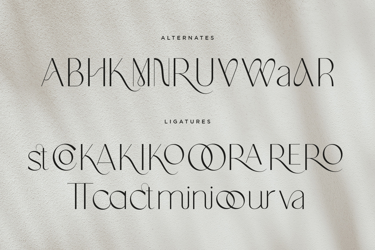 Vapour | Modern Elegant, a Serif Font by Pentagonistudio (Photo 9 of 10)