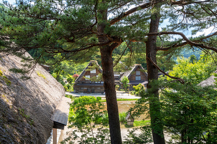 Traditional wooden house in the peaceful village of Shirakawa-go, an Architecture Photo by GoodGoods