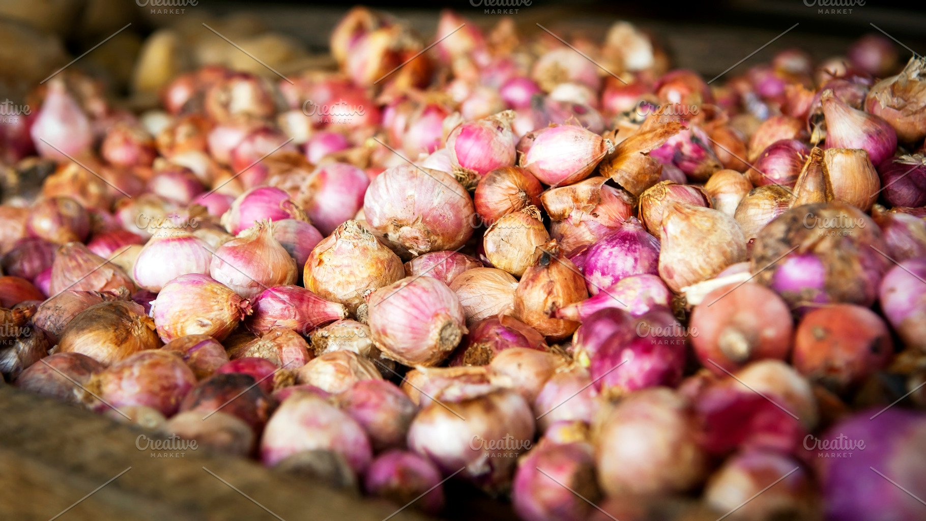 Fresh Garlic, a Food & Drink Photo by THP Creative
