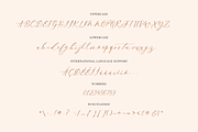 Enchantress | Luxury Script, a Script Font by theinkaffair (Thumbnail 8 of 9)