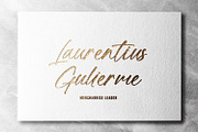 Mugen Ragi - Modern Script Font, a Script Font by StringLabs (Thumbnail 6 of 11)
