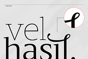 Slingera - Display Serif, a Serif Font by Attract Studio (Thumbnail 11 of 17)