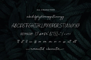 fashionista - modern script font, a Script Font by Bluestype Studio (Thumbnail 9 of 10)