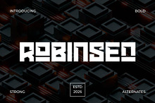 Robinsen – Bold Tech Display Font