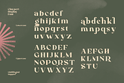Claypert Display Logo Font, a Serif Font by Morand Union (Thumbnail 3 of 9)