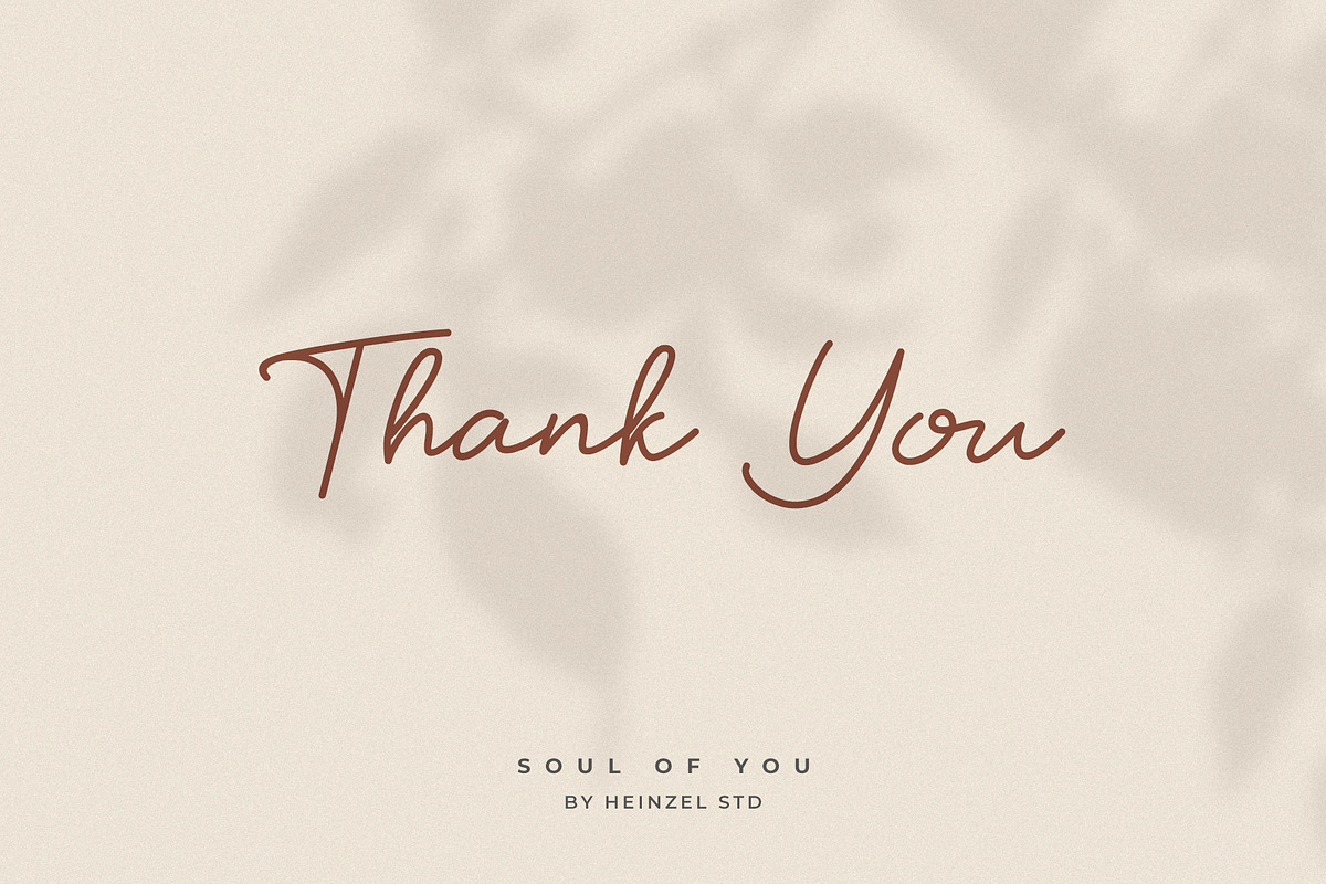 Soul Of You Modern Script Font, a Handwritten Font by Heinzel Std (Photo 11 of 12)