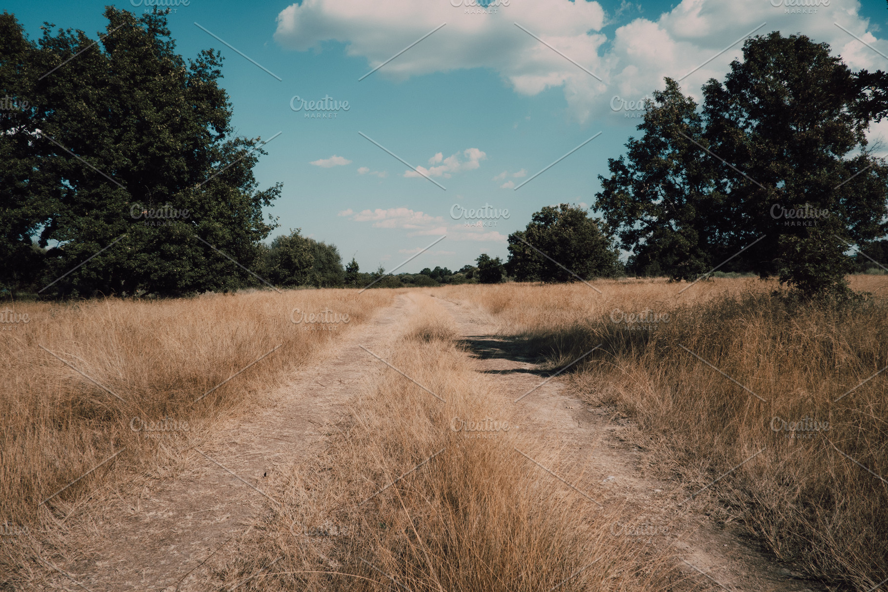 Path stock photo containing clouds and blue, a Nature Photo by ApertureVintage