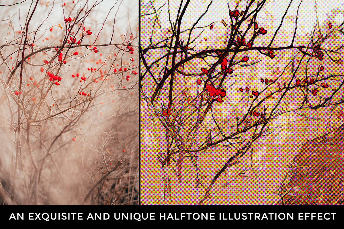 Kaisaku Halftone Illustration Effect, an Action Add-On by Dene Studios (Photo 2 of 17)