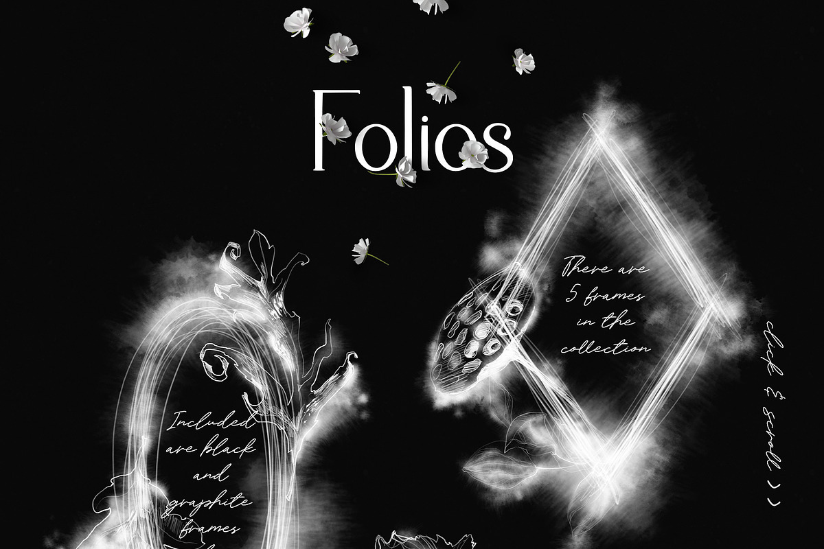 Folios. Botanical illustrations, an Object Illustration by Colden Blue (Photo 12 of 13)