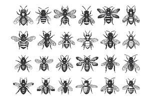 Vintage Bee Insects Linocut Print