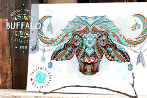 Ethnic Collection: Buffalo